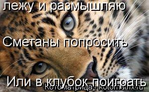 лежу и размышляю Сметаны попросить Или в клубок поиграть... Котоматрица: лежу и размышляю Сметаны попросить Или в клубок поиграть