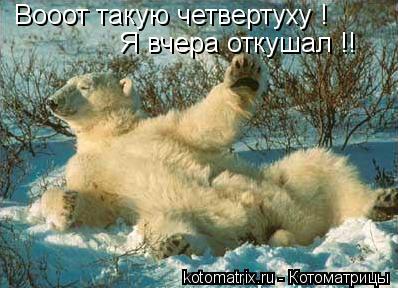 Вооот такую четвертуху ! Я вчера откушал !!... Котоматрица: Вооот такую четвертуху ! Я вчера откушал !!