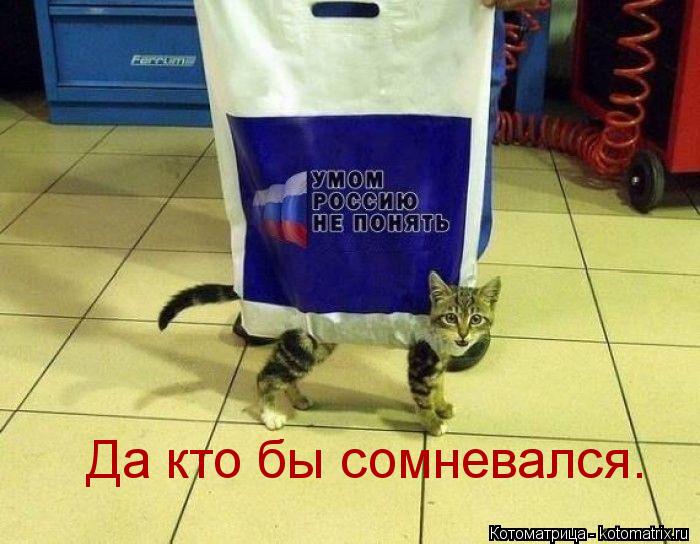 Да кто бы сомневался.... Котоматрица: Да кто бы сомневался.