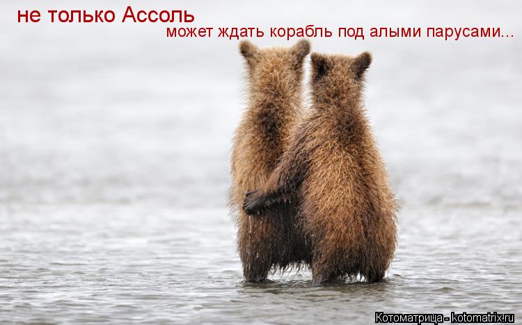 не только Ассоль может ждать корабль под алыми парусами...... Котоматрица: не только Ассоль может ждать корабль под алыми парусами...