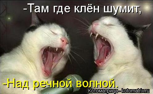 -Там где клён шумит, -Над речной волной.... Котоматрица: -Там где клён шумит, -Над речной волной.