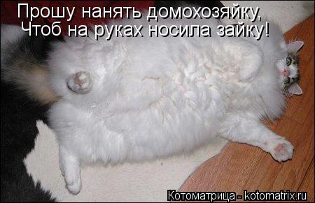 Прошу нанять домохозяйку, Чтоб на руках носила зайку!... Котоматрица: Прошу нанять домохозяйку, Чтоб на руках носила зайку!