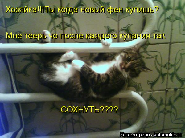Хозяйка!!!Ты когда новый фен купишь? Мне теерь чо после каждого купания так СОХНУТЬ????... Котоматрица: Хозяйка!!!Ты когда новый фен купишь? Мне теерь чо после каждого купания так СОХНУТЬ????