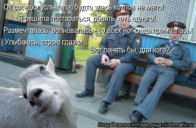 Улыбаюсь, строю глазки... Размечталась, волновалась - со всех ног сюда примчалась! Я решила постарать... Котоматрица: Улыбаюсь, строю глазки... Размечталась, волновалась - со всех ног сюда примчалась! Я решила постараться, обаять хоть одного! От соседки услых