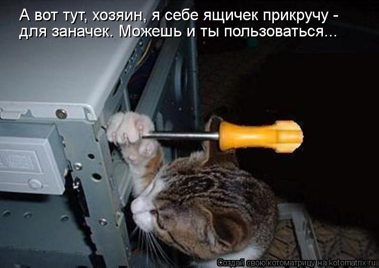 Котоматрица: А вот тут, хозяин, я себе ящичек прикручу -  для заначек. Можешь и ты пользоваться...