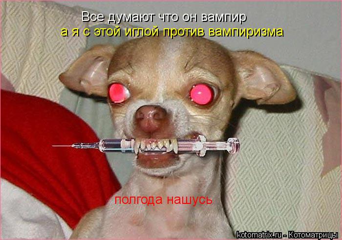 Все думают что он вампир а я с этой иглой против вампиризма полгода нашусь... Котоматрица: Все думают что он вампир а я с этой иглой против вампиризма полгода нашусь
