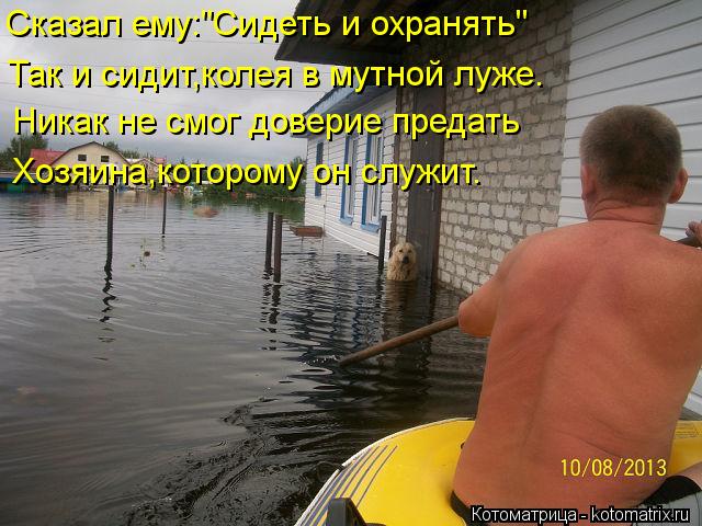 Сказал ему:"Сидеть и охранять" Так и сидит,колея в мутной луже. Никак не смог доверие предать Хозяина... Котоматрица: Сказал ему:"Сидеть и охранять" Так и сидит,колея в мутной луже. Никак не смог доверие предать Хозяина,которому он служит.