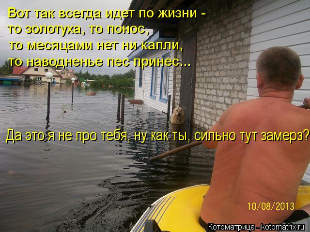 Вот так всегда идет по жизни - то золотуха, то понос, то месяцами нет ни капли, то наводненье пес при... Котоматрица: Вот так всегда идет по жизни - то золотуха, то понос, то месяцами нет ни капли, то наводненье пес принес... Да это я не про тебя, ну как ты, сильн