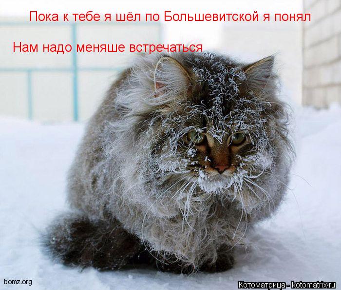 Пока к тебе я шёл по Большевитской я понял Нам надо меняше встречаться... Котоматрица: Пока к тебе я шёл по Большевитской я понял Нам надо меняше встречаться
