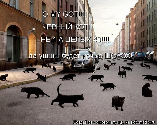 O MY GOT!!!! ЧЕРНЫЙ КОТ!!! НЕ 1 А ЦЕЛЫХ 40!!!! да ушшш будет ночью ШОРОХ!... Котоматрица: O MY GOT!!!! ЧЕРНЫЙ КОТ!!! НЕ 1 А ЦЕЛЫХ 40!!!! да ушшш будет ночью ШОРОХ!