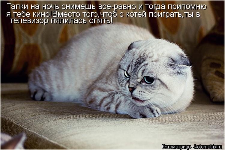 Тапки на ночь снимешь все-равно и тогда припомню я тебе кино!Вместо того,чтоб с котей поиграть,ты в т... Котоматрица: Тапки на ночь снимешь все-равно и тогда припомню я тебе кино!Вместо того,чтоб с котей поиграть,ты в телевизор пялилась опять!