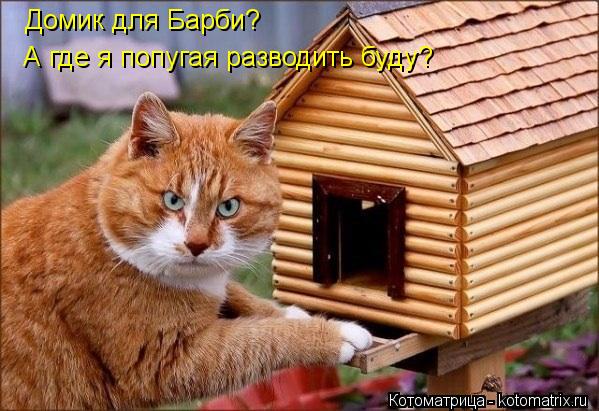 Домик для Барби? А где я попугая разводить буду?... Котоматрица: Домик для Барби? А где я попугая разводить буду?