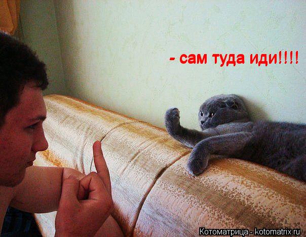 - сам туда иди!!!! - сам туда иди!!!!... Котоматрица: - сам туда иди!!!! - сам туда иди!!!!