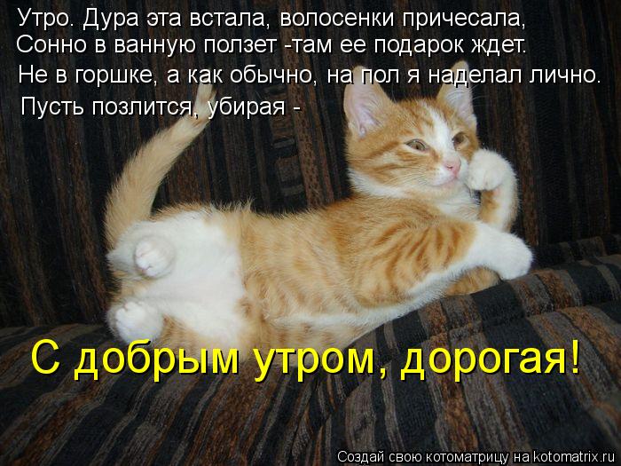Утро. Дура эта встала, волосенки причесала, Сонно в ванную ползет -там ее подарок ждет. Не в горшке... Котоматрица: Утро. Дура эта встала, волосенки причесала, Сонно в ванную ползет -там ее подарок ждет. Не в горшке, а как обычно, на пол я наделал лично. Пус