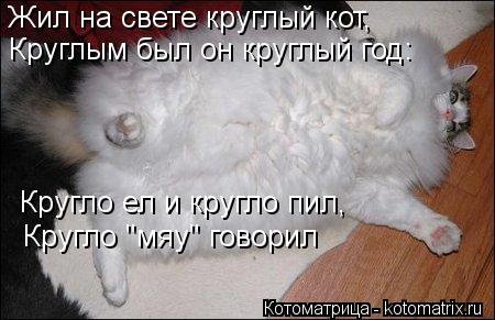 Жил на свете круглый кот, Круглым был он круглый год: Кругло ел и кругло пил, Кругло "мяу" говорил... Котоматрица: Жил на свете круглый кот, Круглым был он круглый год: Кругло ел и кругло пил, Кругло "мяу" говорил