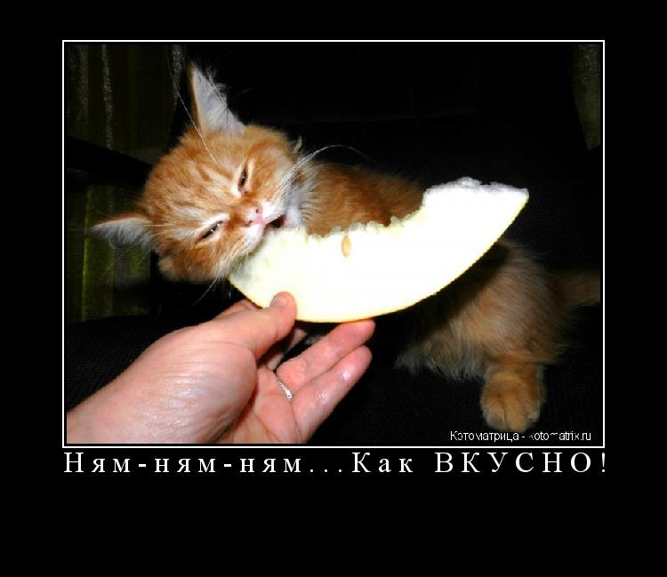 Ням-ням-ням...Как ВКУСНО! ... Котоматрица: Ням-ням-ням...Как ВКУСНО!