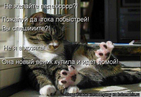 Не желайте педекюррр?! Пожалуй да тока побыстрей! Вы спешииите?! Не я а хозяка! Она новый веник купи... Котоматрица: Не желайте педекюррр?! Пожалуй да тока побыстрей! Вы спешииите?! Не я а хозяка! Она новый веник купила и идёт домой!...