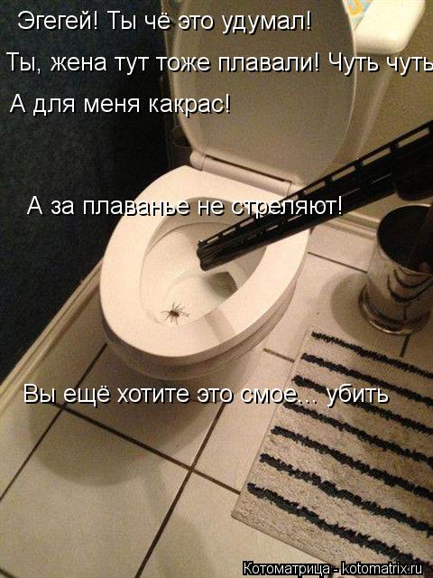 Эгегей! Ты чё это удумал! Ты, жена тут тоже плавали! Чуть чуть! А для меня какрас! А за плаванье не с... Котоматрица: Эгегей! Ты чё это удумал! Ты, жена тут тоже плавали! Чуть чуть! А для меня какрас! А за плаванье не стреляют! Вы ещё хотите это смое... убить