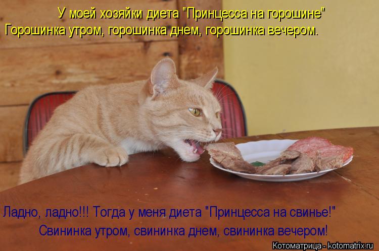 У моей хозяйки диета "Принцесса на горошине" Горошинка утром, горошинка днем, горошинка вечером. Ладн... Котоматрица: У моей хозяйки диета "Принцесса на горошине" Горошинка утром, горошинка днем, горошинка вечером. Ладно, ладно!!! Тогда у меня диета "Принцесса