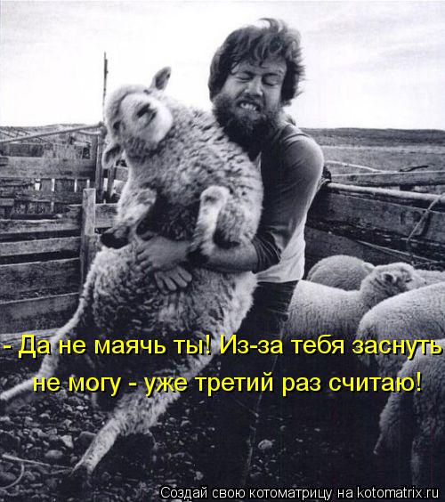 http://kotomatrix.ru/images/lolz/2013/08/19/kotomatritsa_De.jpg