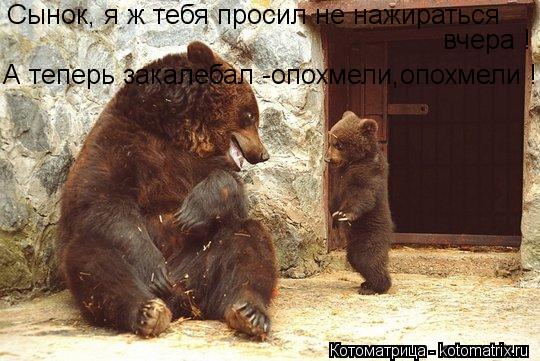 Сынок, я ж тебя просил не нажираться вчера ! А теперь закалебал -опохмели,опохмели !... Котоматрица: Сынок, я ж тебя просил не нажираться вчера ! А теперь закалебал -опохмели,опохмели !