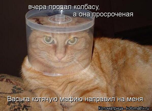 вчера продал колбасу, а она просроченая Васька котячую мафию направил на меня... Котоматрица: вчера продал колбасу, а она просроченая Васька котячую мафию направил на меня