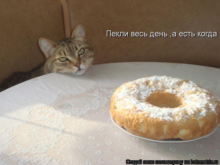 Пекли весь день ,а есть когда... Котоматрица: Пекли весь день ,а есть когда