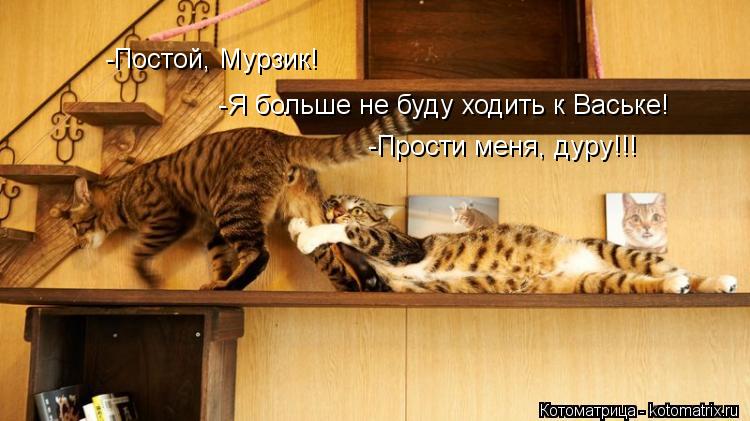 -Постой, Мурзик! -Я больше не буду ходить к Ваське! -Прости меня, дуру!!!... Котоматрица: -Постой, Мурзик! -Я больше не буду ходить к Ваське! -Прости меня, дуру!!!