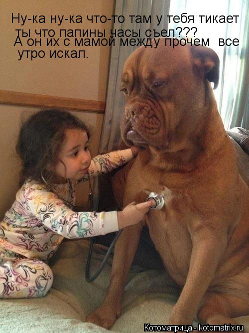 Ну-ка ну-ка что-то там у тебя тикает!Ты что шарик часы папины съел а он их Ну-ка ну-ка что-то там у ... Котоматрица: Ну-ка ну-ка что-то там у тебя тикает!Ты что шарик часы папины съел а он их Ну-ка ну-ка что-то там у тебя тикает ты что папины часы съел??? утро
