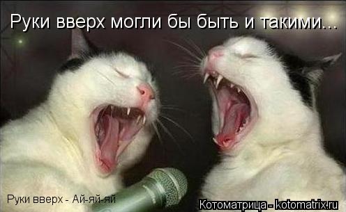 Руки вверх могли бы быть и такими... Руки вверх - Ай-яй-яй... Котоматрица: Руки вверх могли бы быть и такими... Руки вверх - Ай-яй-яй