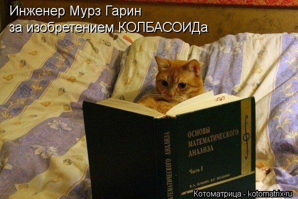 Инженер Мурз Гарин за изобретением КОЛБАСОИДа... Котоматрица: Инженер Мурз Гарин за изобретением КОЛБАСОИДа