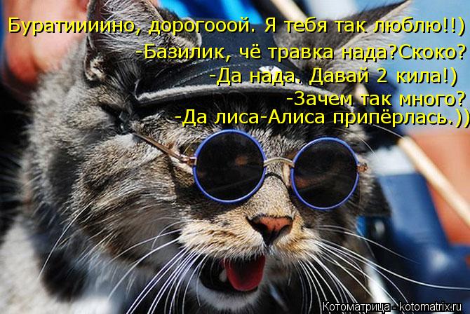 Буратиииино, дорогооой. Я тебя так люблю!!) -Базилик, чё травка нада?Скоко? -Да нада. Давай 2 кила!) ... Котоматрица: Буратиииино, дорогооой. Я тебя так люблю!!) -Базилик, чё травка нада?Скоко? -Да нада. Давай 2 кила!) -Зачем так много? -Да лиса-Алиса припёрлась.))