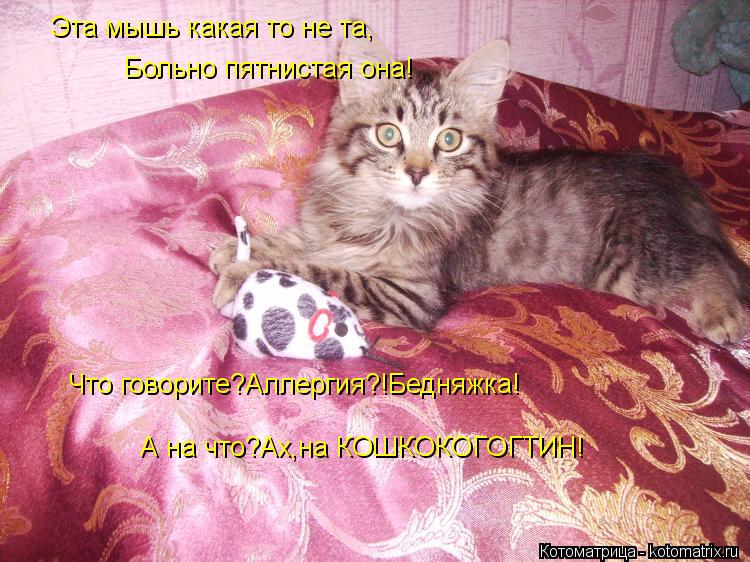 Эта мышь какая то не та, Больно пятнистая она! Что говорите?Аллергия?!Бедняжка! А на что?Ах,на КОШКОК... Котоматрица: Эта мышь какая то не та, Больно пятнистая она! Что говорите?Аллергия?!Бедняжка! А на что?Ах,на КОШКОКОГОГТИН!