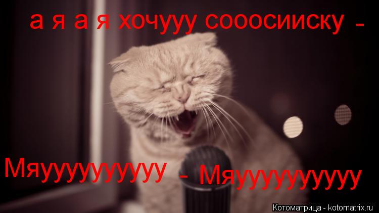 а я а я хочууу сооосииску Мяуууууууууу Мяуууууууууу - -... Котоматрица: а я а я хочууу сооосииску Мяуууууууууу Мяуууууууууу - -