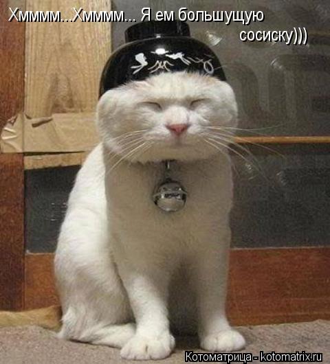 Хмммм...Хмммм... Я ем большущую сосиску)))... Котоматрица: Хмммм...Хмммм... Я ем большущую сосиску)))
