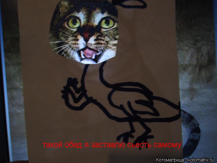 такой обед я заставлю сьесть самому... Котоматрица: такой обед я заставлю сьесть самому