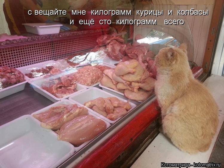 с вещайте мне килограмм курицы и колбасы и ещё сто килограмм всего... Котоматрица: с вещайте мне килограмм курицы и колбасы и ещё сто килограмм всего