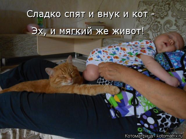 Эх, и мягкий же живот! Сладко спят и внук и кот -... Котоматрица: Эх, и мягкий же живот! Сладко спят и внук и кот -