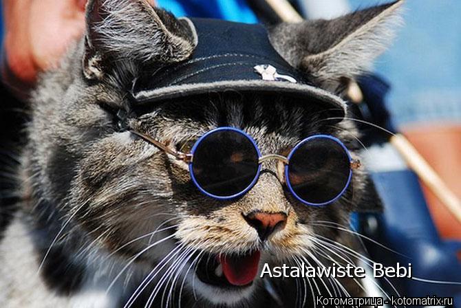 Astalawiste Bebi... Котоматрица: Astalawiste Bebi