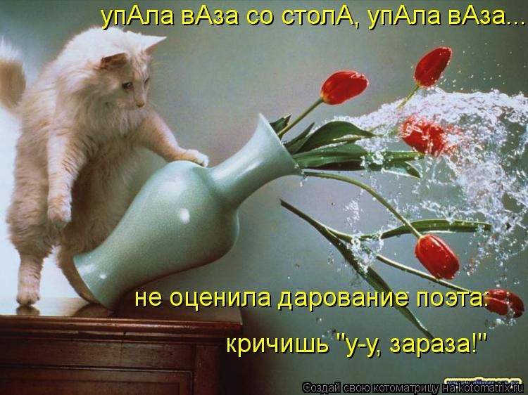 упАла вАза со столА, упАла вАза.... не оценила дарование поэта: кричишь "у-у, зараза!"... Котоматрица: упАла вАза со столА, упАла вАза.... не оценила дарование поэта: кричишь "у-у, зараза!"