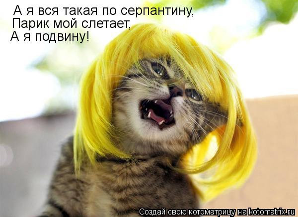 А я вся такая по серпантину, Парик мой слетает, А я подвину!... Котоматрица: А я вся такая по серпантину, Парик мой слетает, А я подвину!