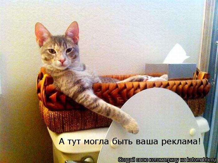 А тут могла быть ваша реклама!... Котоматрица: А тут могла быть ваша реклама!