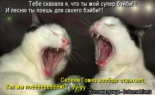 Тебе сказала я, что ты мой супер бэйби!!! И песню ты поешь для своего бэйби!!! Селена Гомез вообще от... Котоматрица: Тебе сказала я, что ты мой супер бэйби!!! И песню ты поешь для своего бэйби!!! Селена Гомез вообще отдыхает, Как мы поёёёёёёёёём!!! Уу-уу