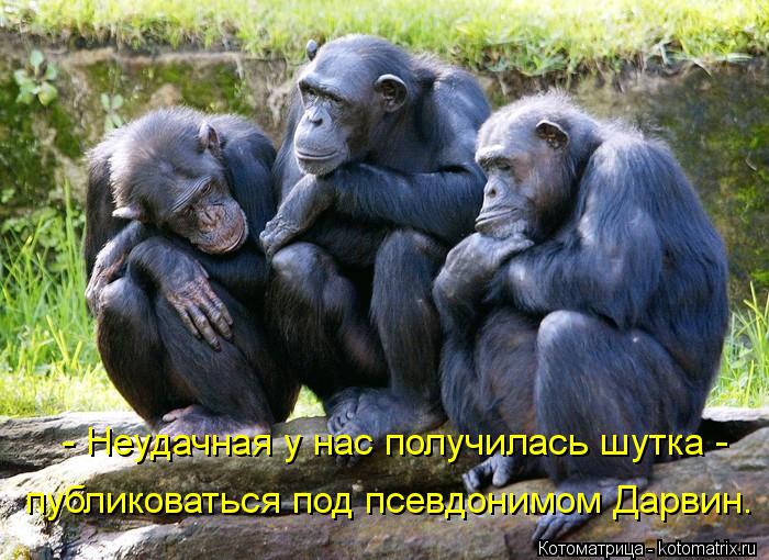 - Неудачная у нас получилась шутка - публиковаться под псевдонимом Дарвин.... Котоматрица: - Неудачная у нас получилась шутка - публиковаться под псевдонимом Дарвин.