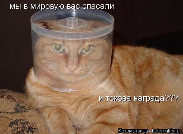мы в мировую вас спасали и токова награда???... Котоматрица: мы в мировую вас спасали и токова награда???