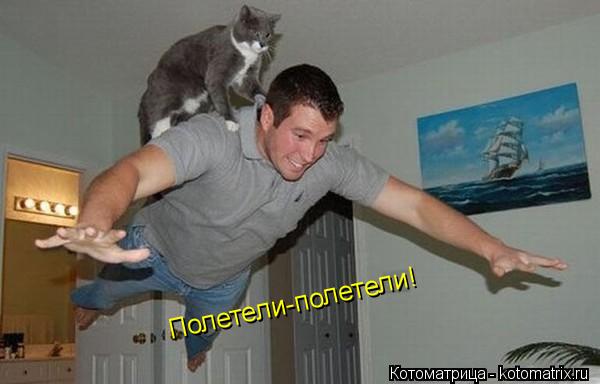 Полетели-полетели!... Котоматрица: Полетели-полетели!