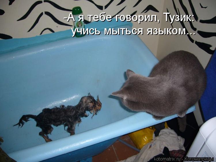 -А я тебе говорил, Тузик: учись мыться языком...... Котоматрица: -А я тебе говорил, Тузик: учись мыться языком...