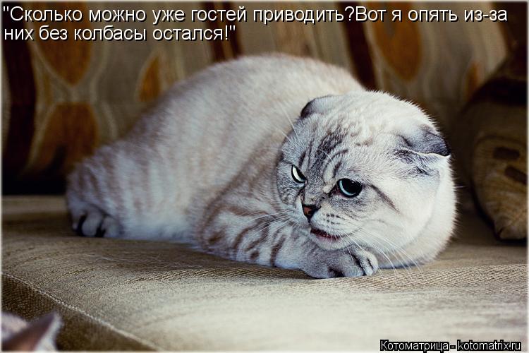 "Сколько можно уже гостей приводить?Вот я опять из-за них без колбасы остался!"... Котоматрица: "Сколько можно уже гостей приводить?Вот я опять из-за них без колбасы остался!"