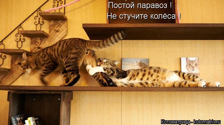 Постой паравоз ! Не стучите колёса !... Котоматрица: Постой паравоз ! Не стучите колёса !