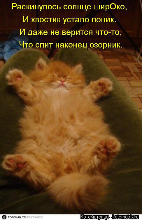 Раскинулось солнце ширОко, И хвостик устало поник. И даже не верится что-то, Что спит наконец озорник... Котоматрица: Раскинулось солнце ширОко, И хвостик устало поник. И даже не верится что-то, Что спит наконец озорник.